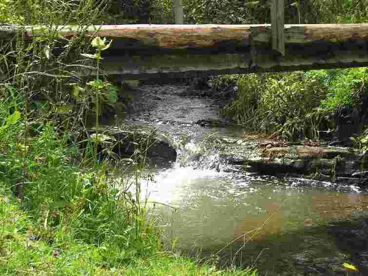 У Карпатах під час сплаву по ріці загинула туристка