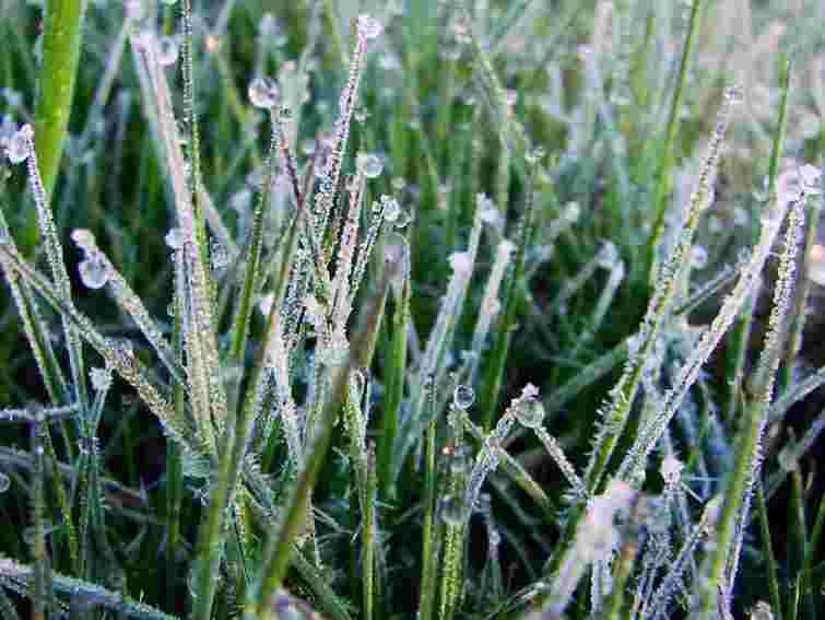 Погода в Україні: На заході грози, на сході – приморозки