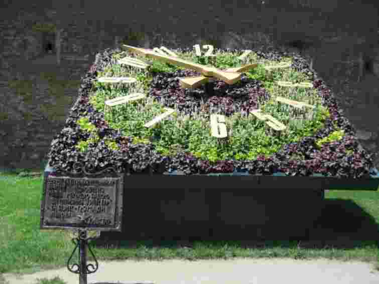 У центрі Львова висадили квіткового лева та прикрасили квітковий годинник