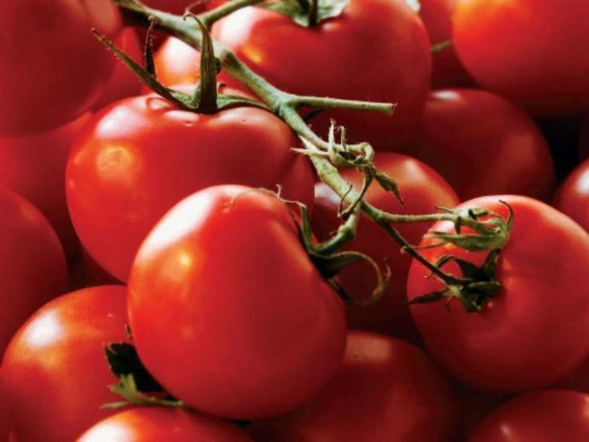 В Україну везли 38 тонн заражених іспанських помідорів