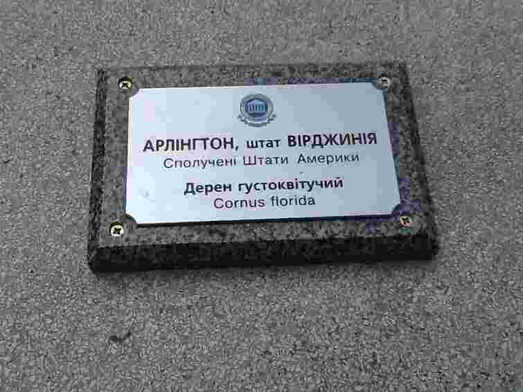 В Івано-Франківську садили "коло дружби": поляки - бук, росіяни - берізку