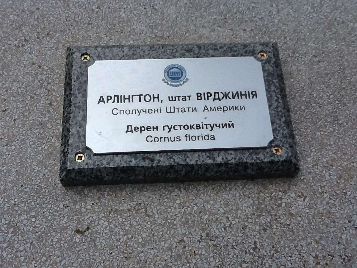 В Івано-Франківську садили "коло дружби": поляки - бук, росіяни - берізку