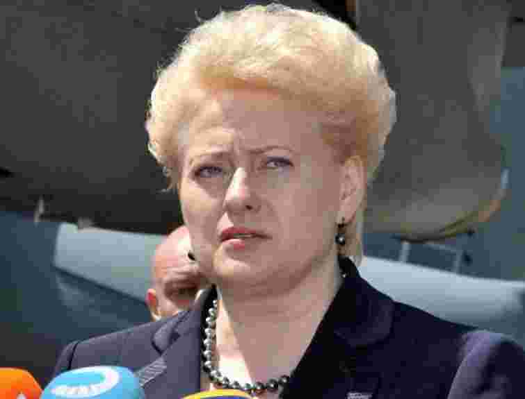 Президент Литви сьогодні відвідає Тимошенко