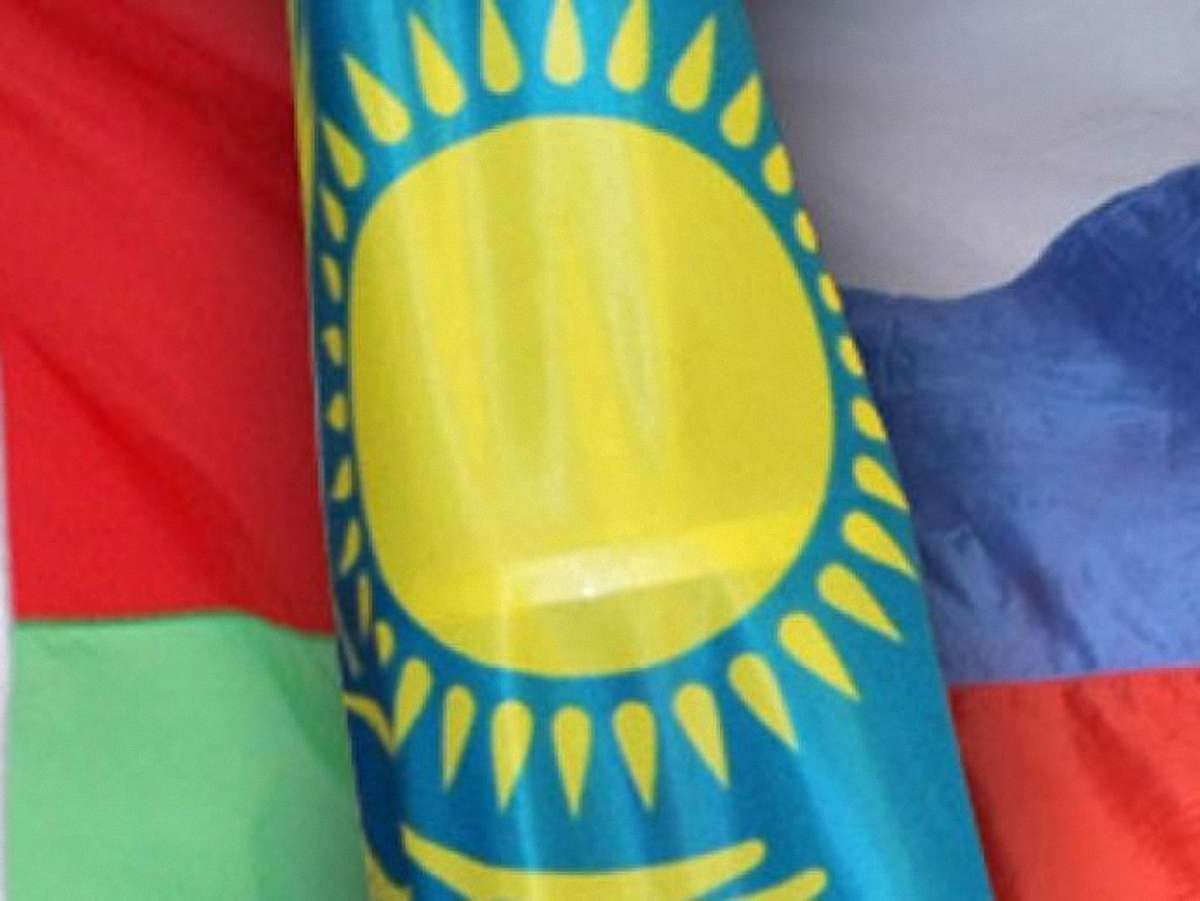Ми Україну за вуха не тягнемо, – представник РФ про Митний союз  