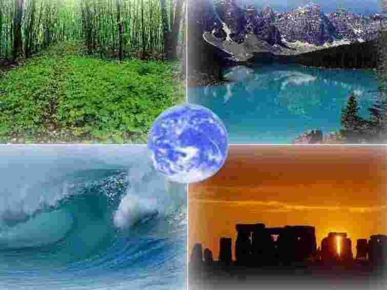 За 38 років біоресурси Землі скоротилися на 28%