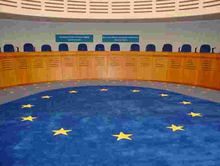 Справи Тимошенко і Луценко виграшні, – екс-суддя Євросуду