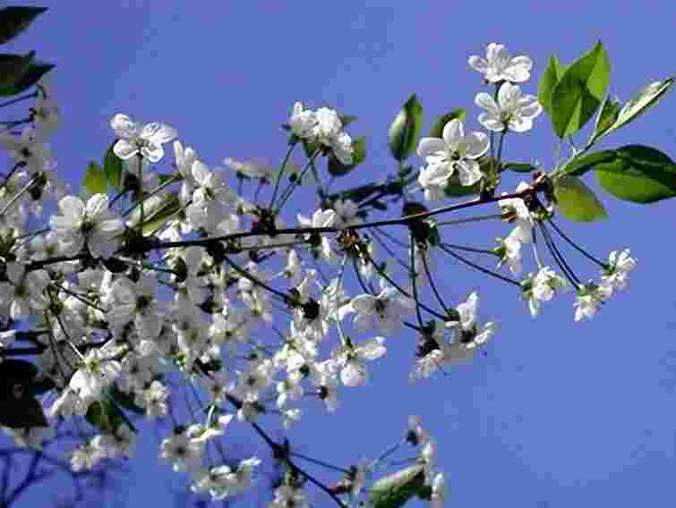 На вихідних в Україні буде тепло і мокро