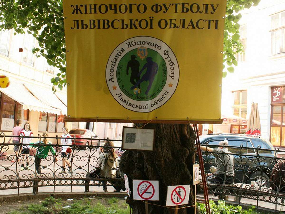 Криву липу у Львові взяла під опіку Асоціація жіночого футболу