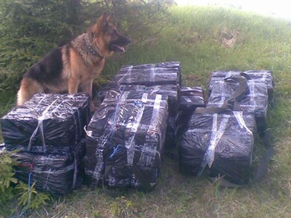 Втікаючи від прикордонників, контрабандисти залишили 1,5 тонни телятини