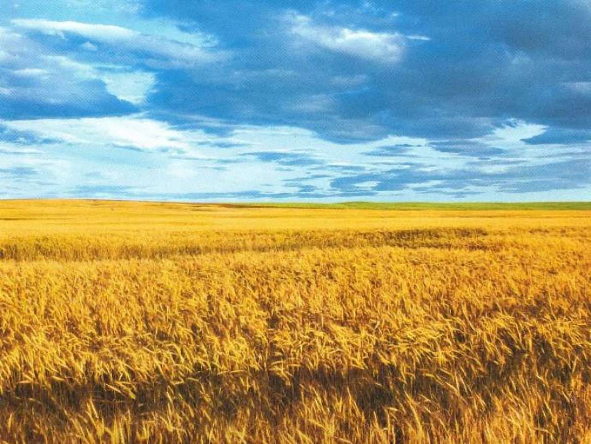 Кличко: Єдиною державною мовою в країні має бути українська 