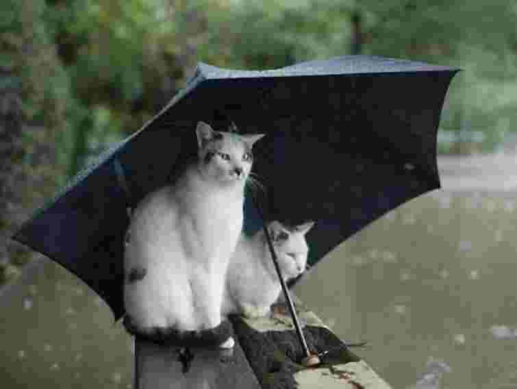 Завтра в Україні пройдуть дощі, град та шквали