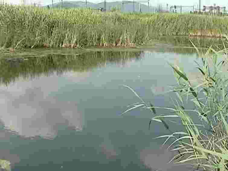 На Закарпатті загинуло троє рибалок, ще троє в лікарні