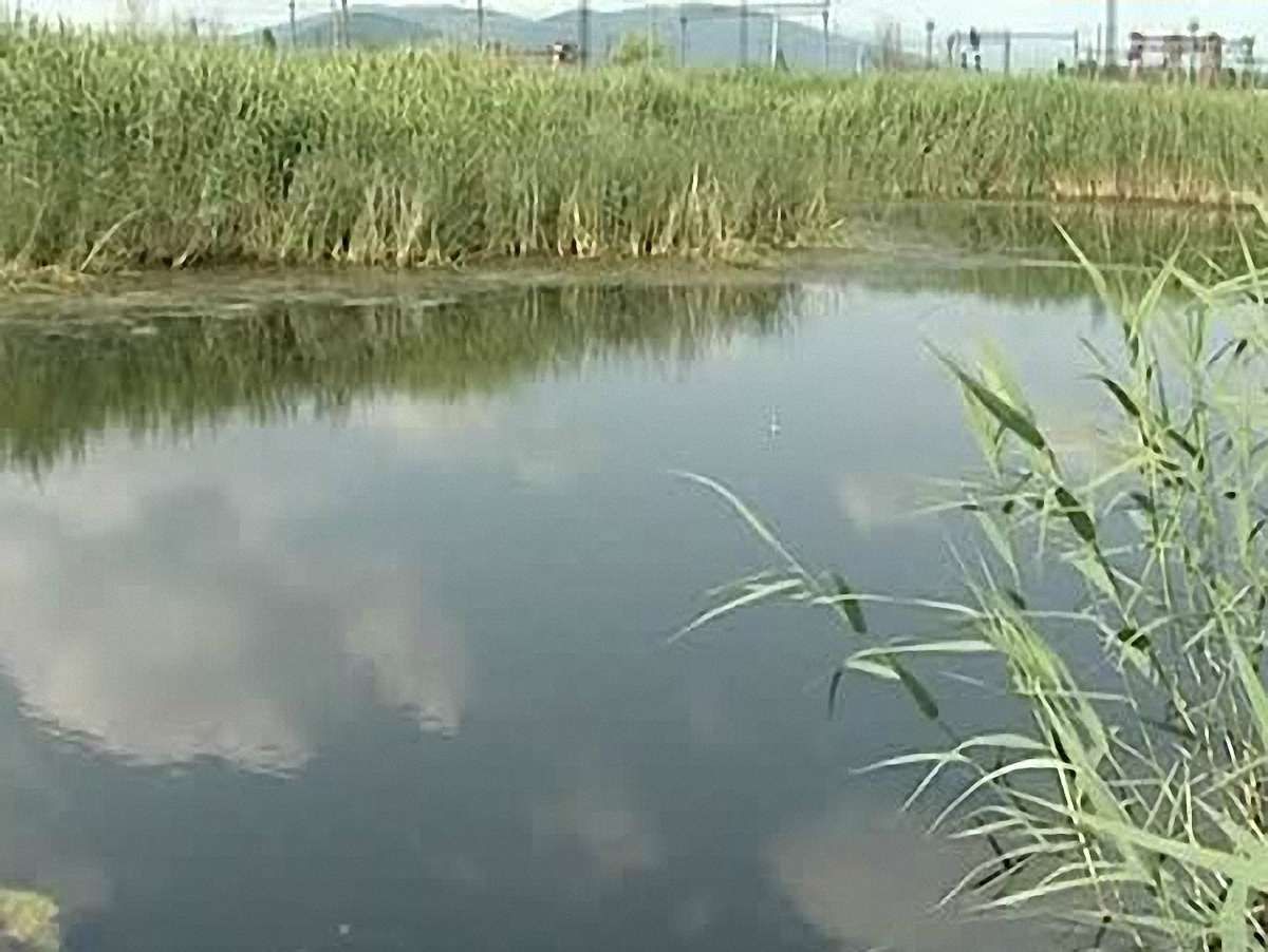 На Закарпатті загинуло троє рибалок, ще троє в лікарні