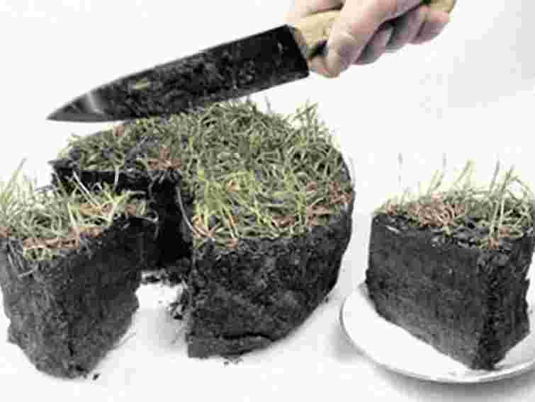 На Львівщині посадовці сільради незаконно роздали 1,3 га землі