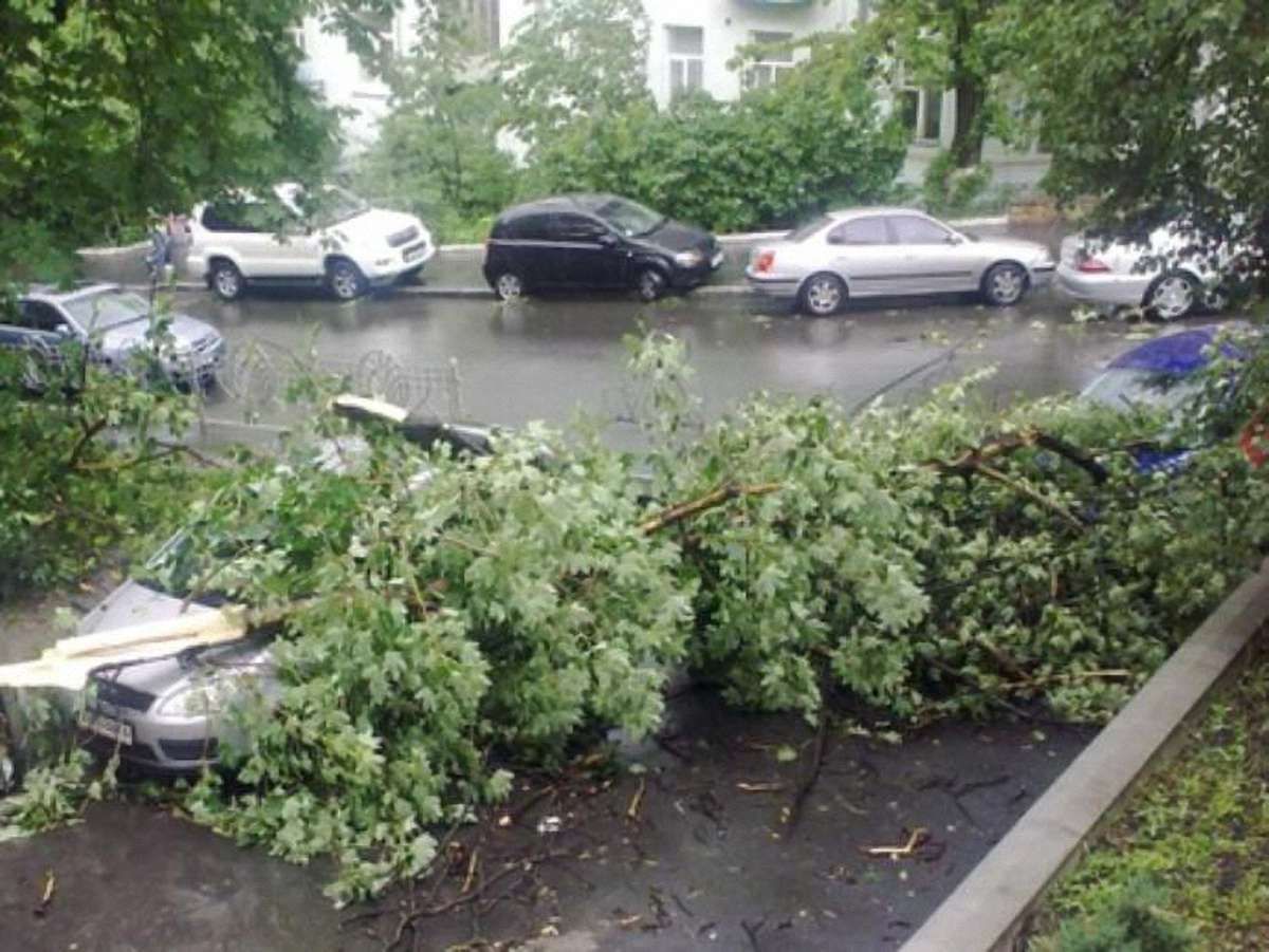 Буревій на Закарпатті пошкодив близько півсотні будинків
