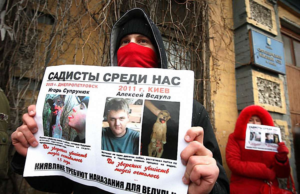 19-річного киянина, що вбив понад 100 собак, посадили на 4 роки
