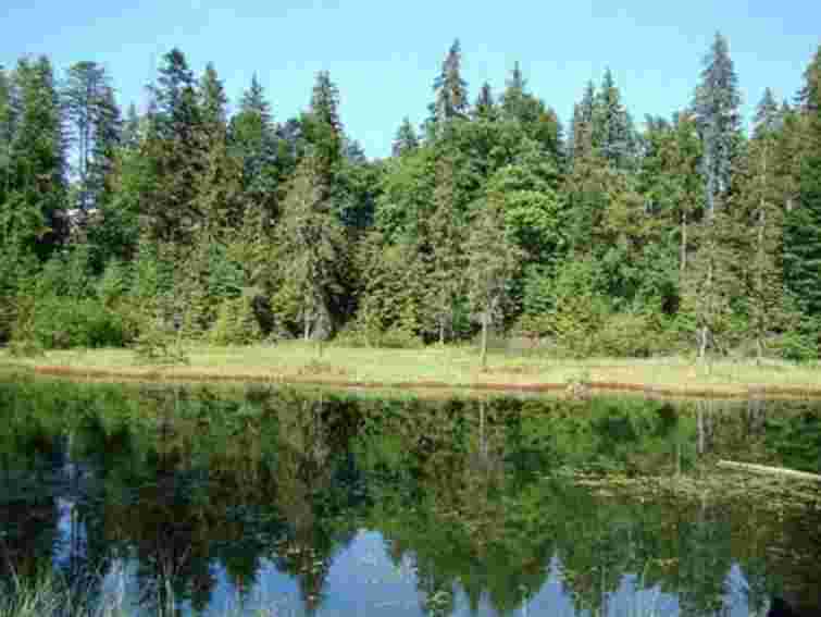 На Львівщині втопився рибалка