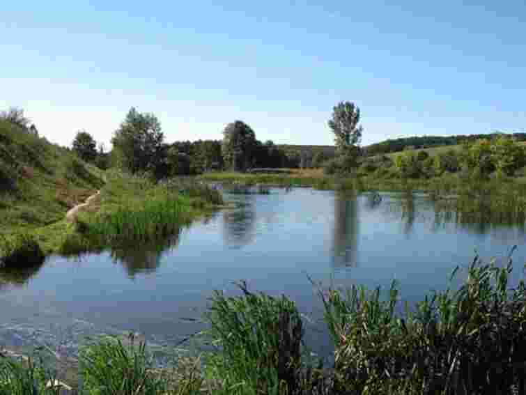 На Житомирщині хлопчик потонув у ставку в дитячому таборі