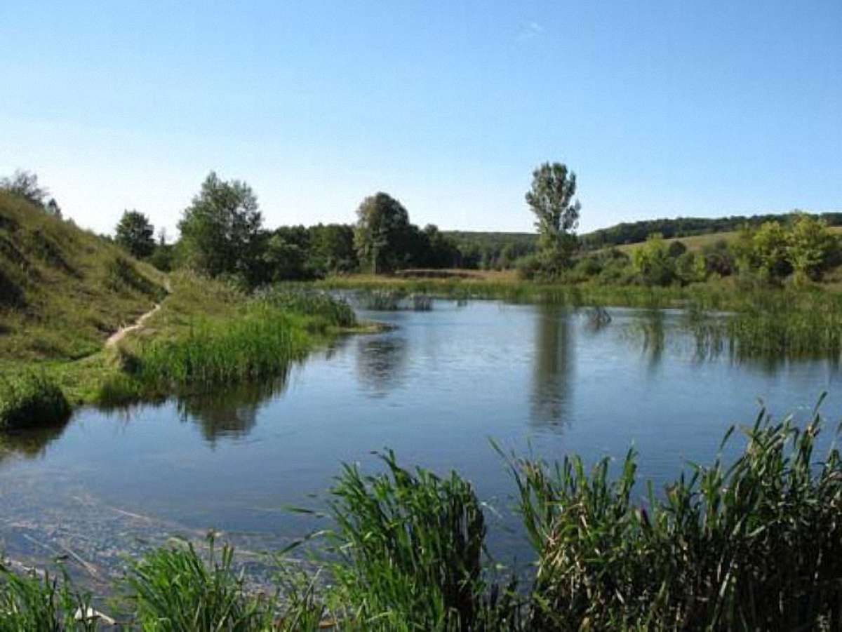На Житомирщині хлопчик потонув у ставку в дитячому таборі