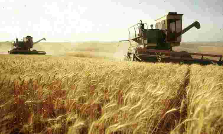 Цьогоріч врожай зернових буде на 30% нижчим , – експерт