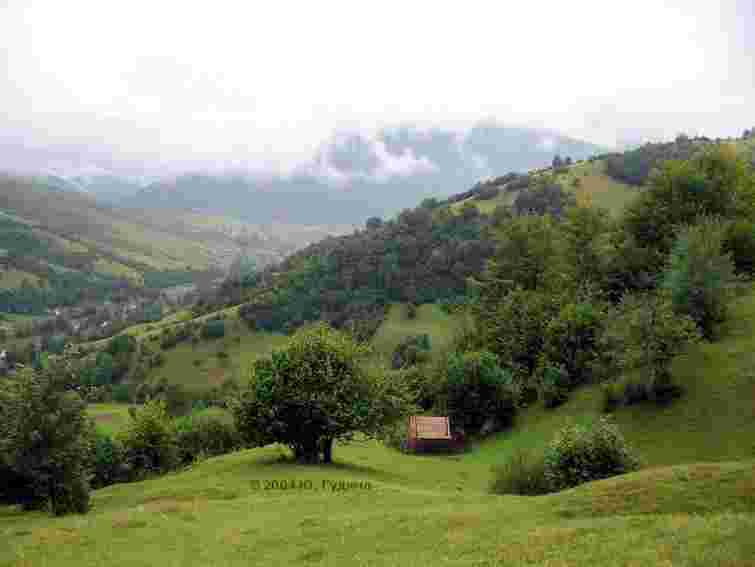 На Прикарпатті підліток понад добу блукав у горах