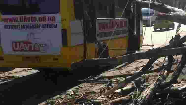 На Дніпропетровщині дерево впало на маршрутку: 9 постраждалих