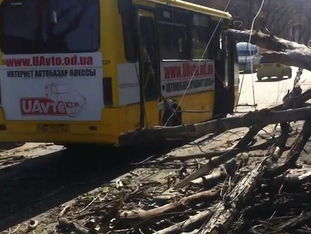 На Дніпропетровщині дерево впало на маршрутку: 9 постраждалих