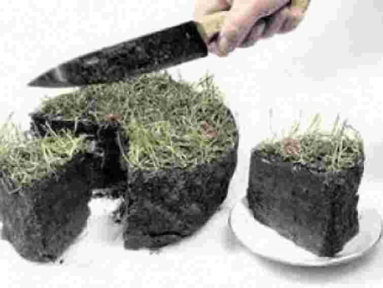 У Сокільниках біля Львова – земельний конфлікт через забудову нового кварталу