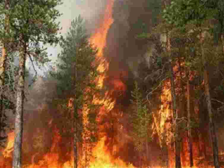 У Криму горить заповідник