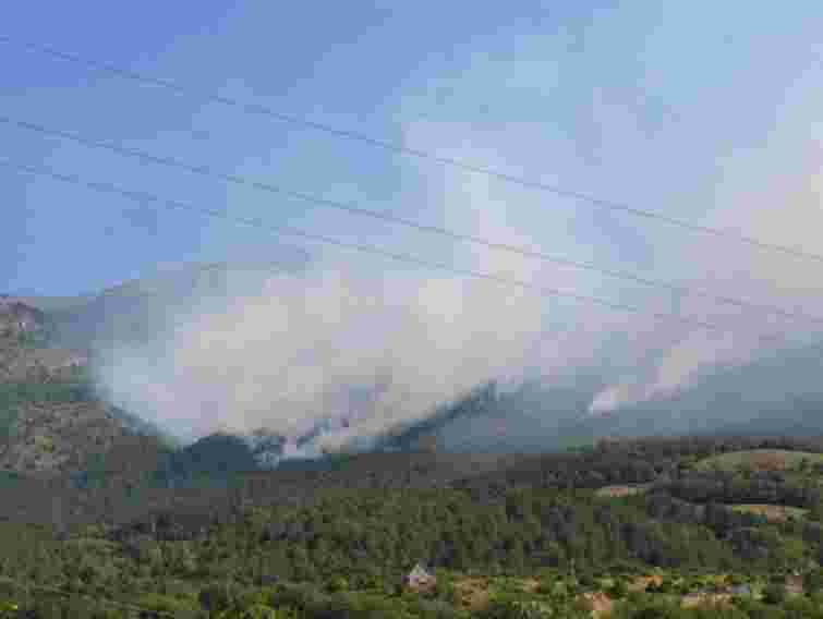 Пожежу в Ялтинському заповіднику загасили