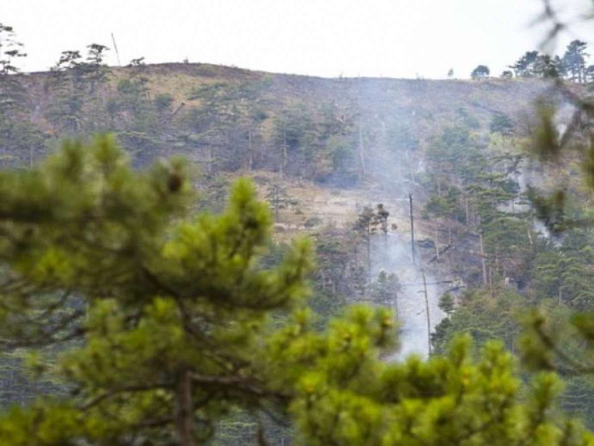 Ялтинський заповідник досі горить, - очевидці