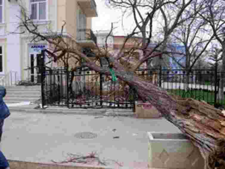 На Волині пройшов буревій