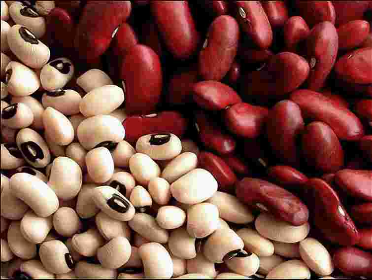 У квасолі з Нігерії до України переправили живого шкідника