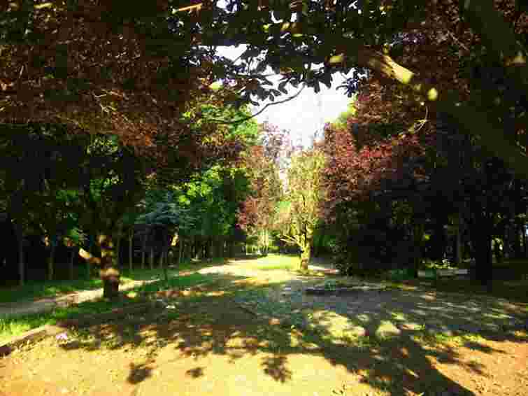 ЛКП «Зелений Львів» опікуватиметься Скнилівським парком