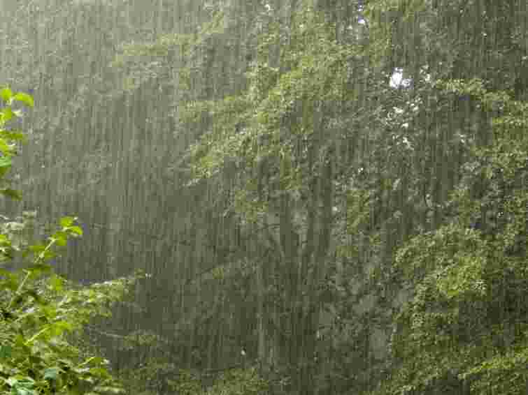 Завтра у західних і північних областях грози, град