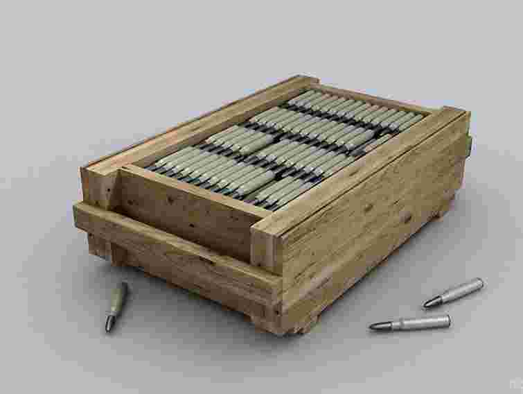 У лісі на Львівщині знайшли арсенал зброї