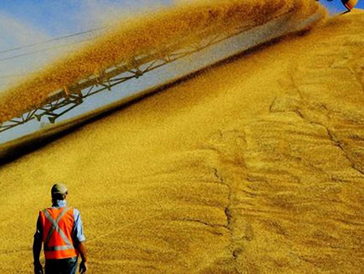 Мінагропрод: Аграрії зазнали збитків від посухи в 13,6 млрд грн