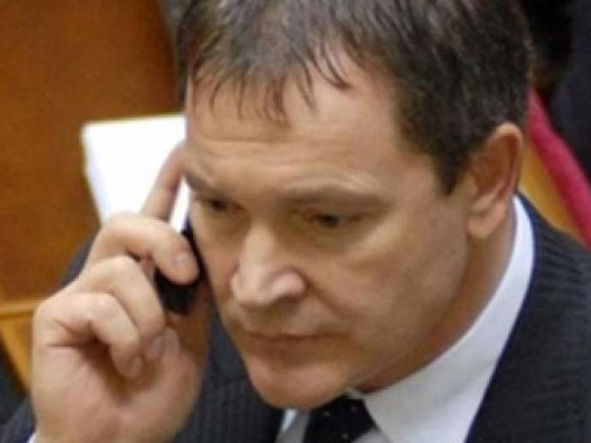 Регіонал - ОБСЄ: До мовного закону нема жодної конкретної претензії