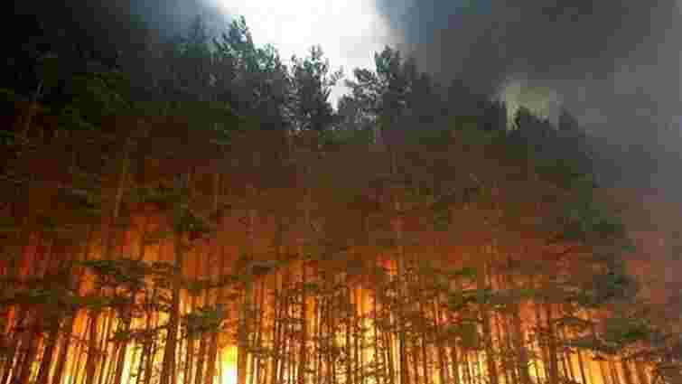 Масштабні пожежі в Росії: горить 13 тис. га сибірських лісів