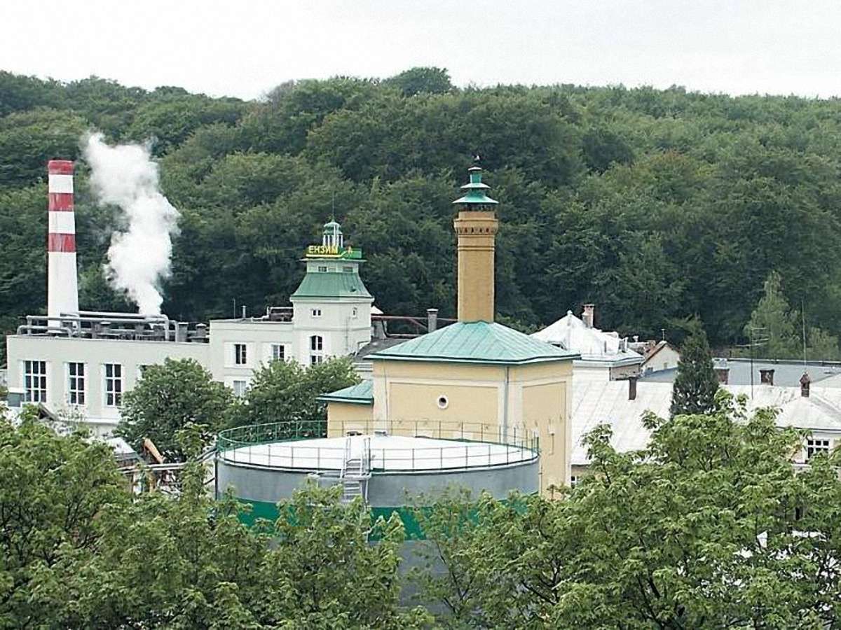 Проблему стоків «Ензиму» використовують для передвиборчого піару