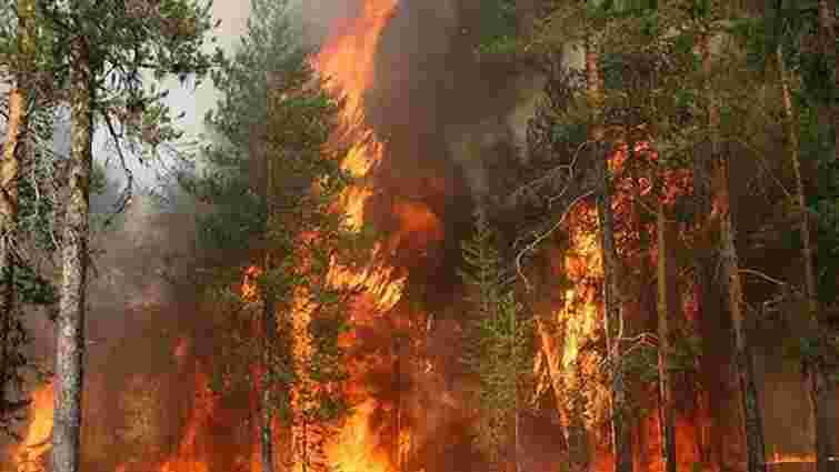 У Криму велика пожежа: горить ліс біля Ялти 