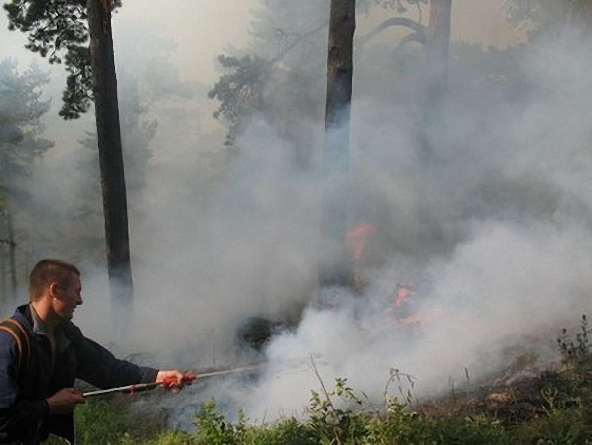 За підпал Ялтинського заповідника затримали львів’янина, - ЗМІ