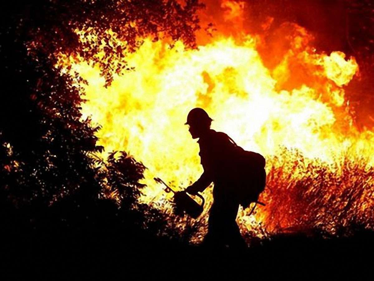 У Сибірських лісах у вогняній пастці майже 40 пожежних
