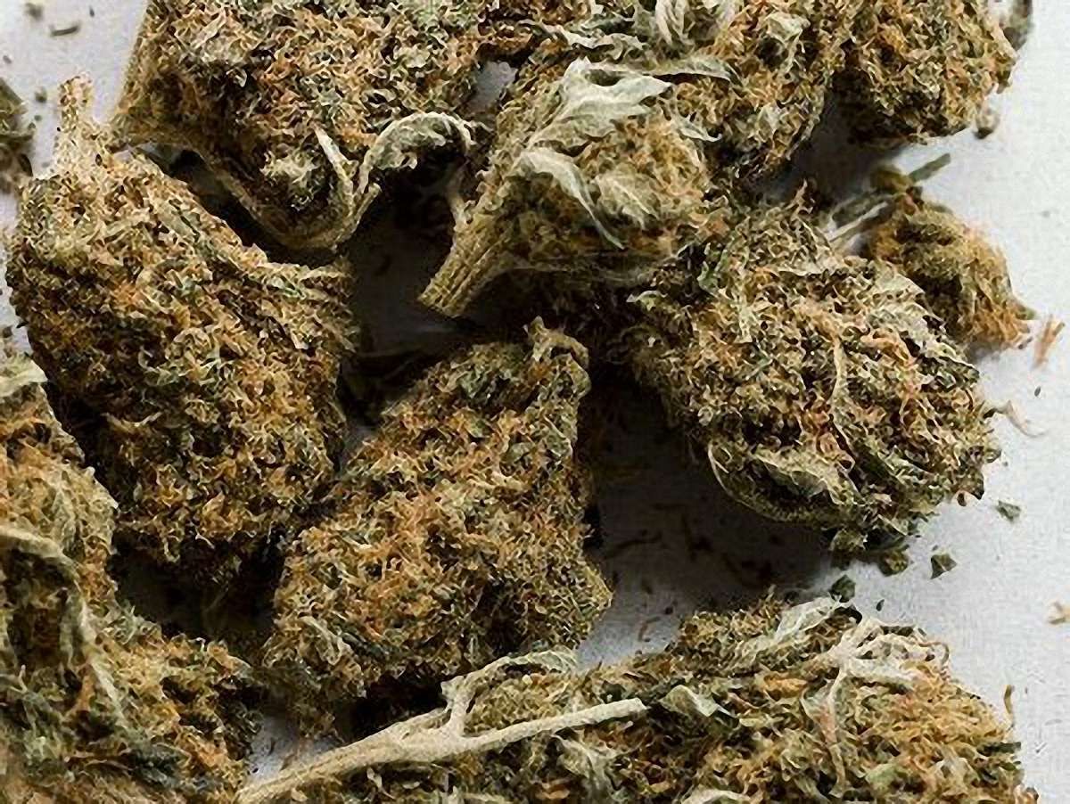 На Рівненщині підлітка за збут марихуани засудили на 5 років умовно