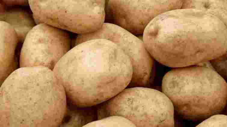 Україна збере картоплі на 30% менше, ніж торік - експерт
