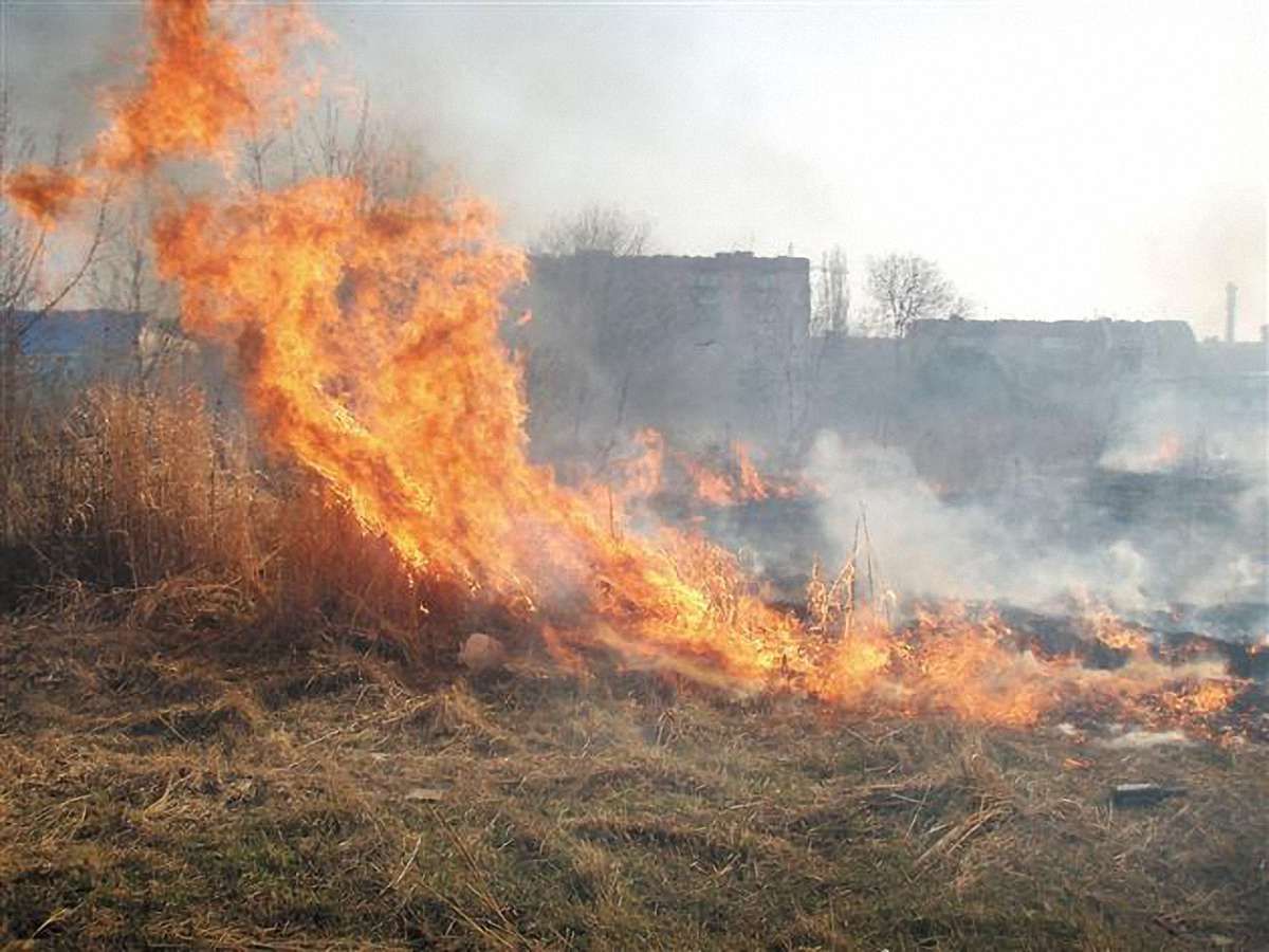 На Львівщині за добу згоріло 3,5 га сухої трави