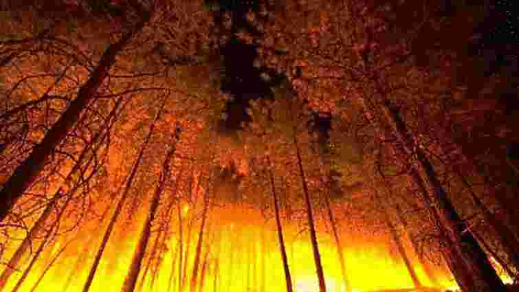 У Херсонській області горить 50 гектарів лісу 