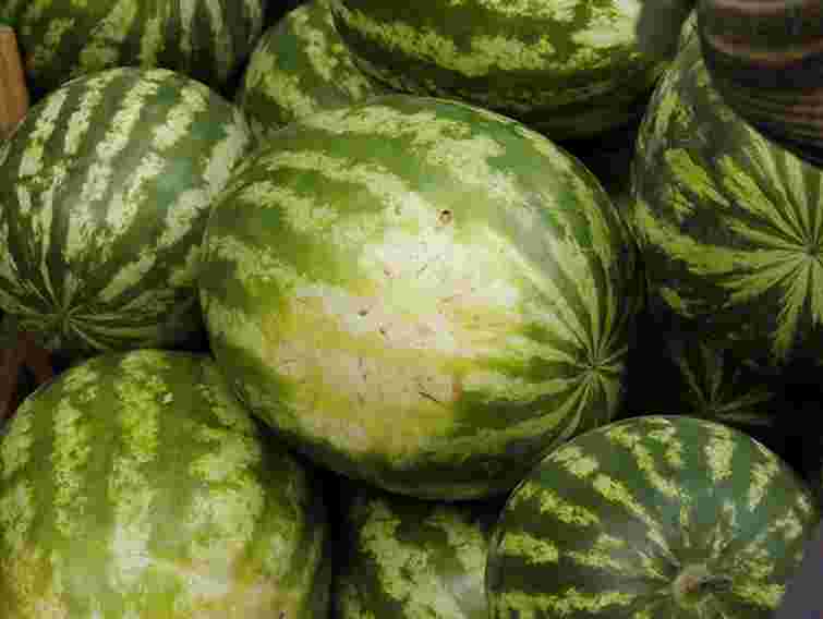 На вулицях Львова кавуни і дині можна продавати у 15 місцях