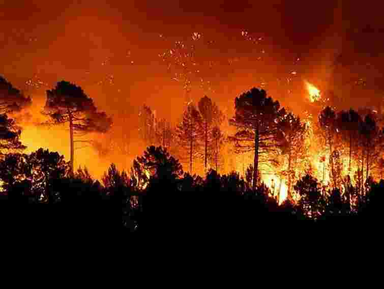 У Херсонській області горить уже1,5 тис. га лісу