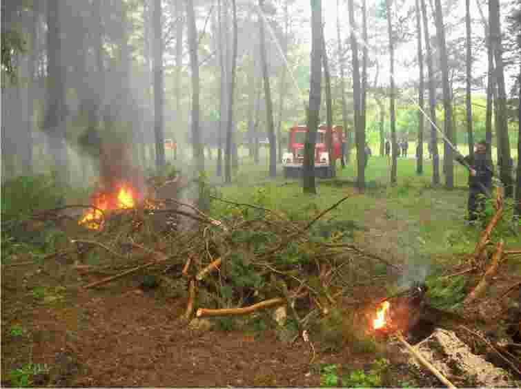 МНС: Лісову пожежу на Херсонщині ліквідовано